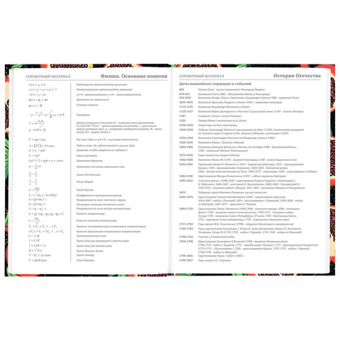 Дневник 5-11 класс 48 л., твердый, BRAUBERG, блестки, с подсказом, «Гранаты»