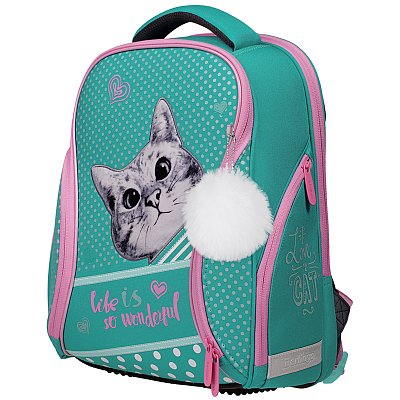 Ранец Berlingo Nova «Curious cat» 37×28×18см, 2 отделения, 2 кармана, анатомическая спинка