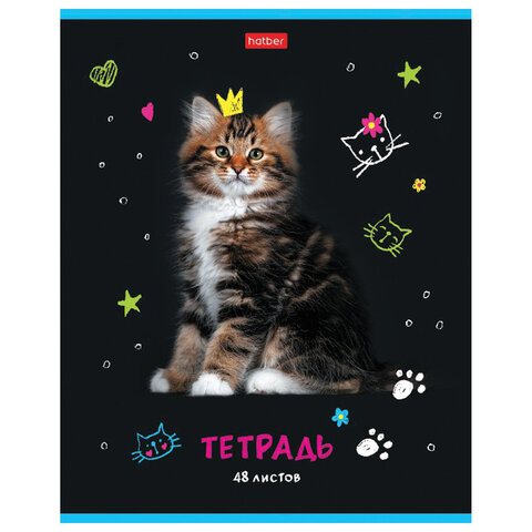 Тетрадь А5 48 л. HATBER скоба, клетка, глянцевая ламинация, «МУРчат Коты» (5 видов в спайке)