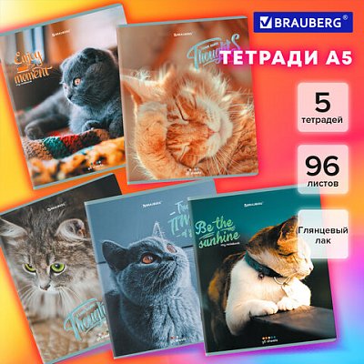 Тетради ДЭК А5 96 л. КОМПЛЕКТ 5 шт., BRAUBERG скоба, клетка, матовая ламинация, «Котики»