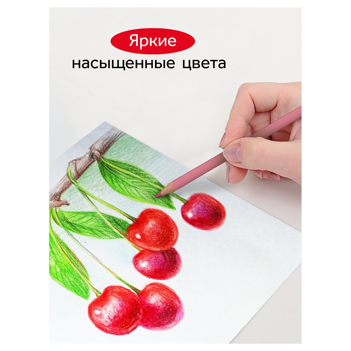 Карандаши цветные Гамма, 12цв, квадратные, пастельн., заточен., метал. пенал