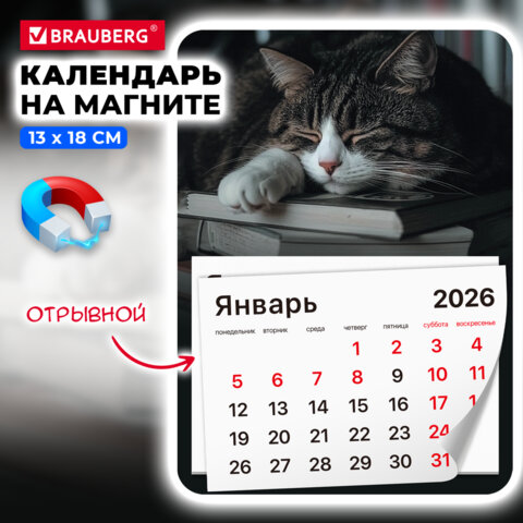 Календарь отрывной на магните на 2026 г., BRAUBERG, 130×180 мм, склейка, «Спящий кот»