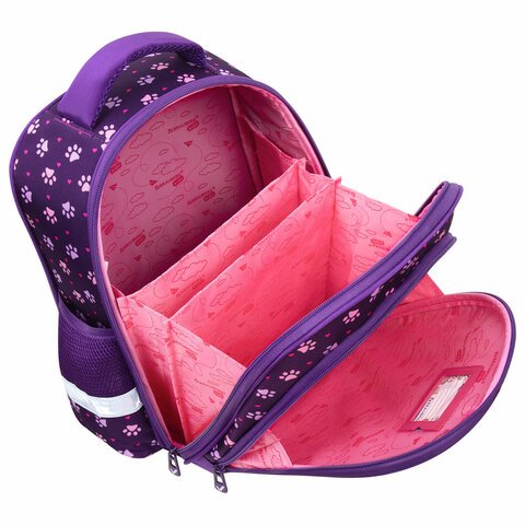 Ранец BRAUBERG KIDS STANDARD, 2 отделения, «Playing kittens», 36×28х14 см