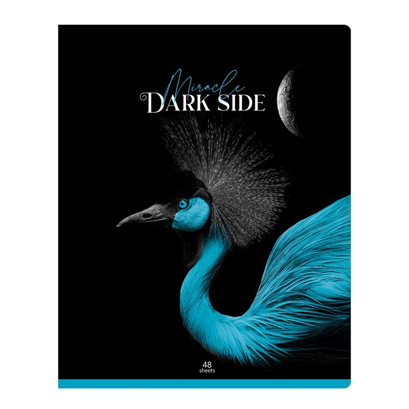 Тетрадь 48л., А5, клетка BG «Dark miracle», выб. лак