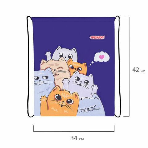 Мешок для обуви ПИФАГОР, 1 отделение, 42×34 см, «Cats greetings»