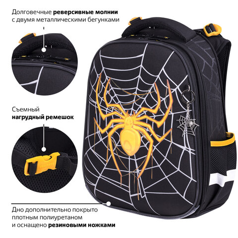 Ранец BRAUBERG PREMIUM, 2 отделения, с брелком, «Venomous spider», 3D панель, 38×29х16 см
