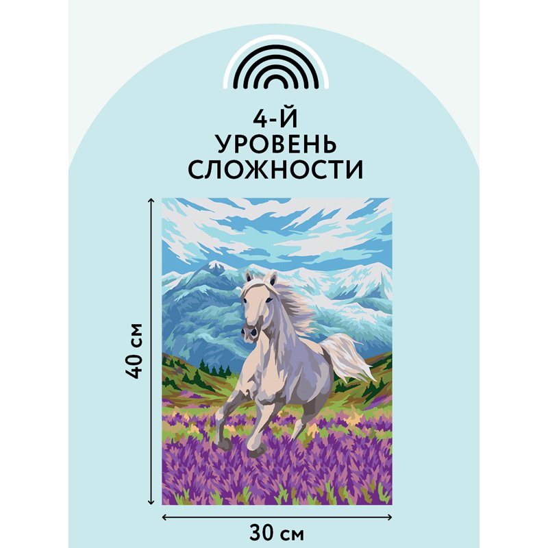 Картина по номерам на холсте ТРИ СОВЫ «Свобода», 30×40, с акриловыми красками и кистями