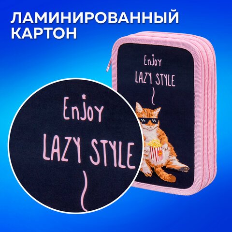 Пенал ПИФАГОР, 3 отделения, ламинированный картон, 19×11 см, «Lazy cat»