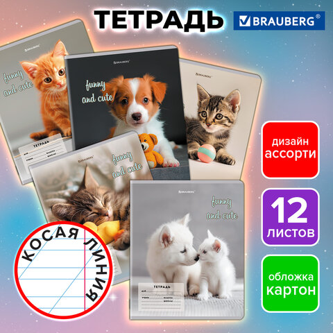 Тетрадь 12 л. BRAUBERG косая линия, обложка картон, CATS AND DOGS