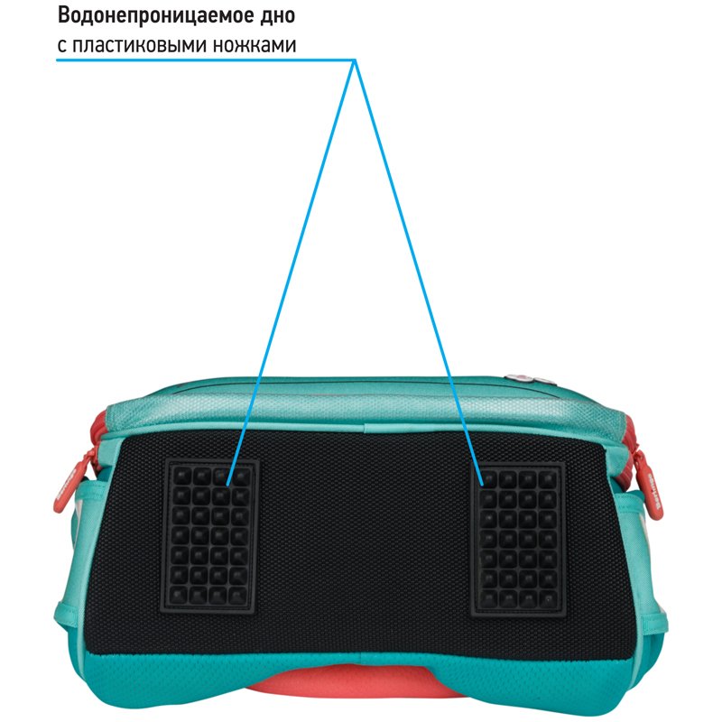 Ранец Berlingo Expert Max «Kittens green» 37×28×16см, 2 отделения, анатомическая спинка, дождевик в комплекте