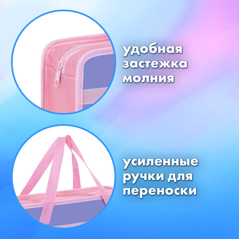 Папка на молнии с ручками BRAUBERG А4, 1 отделение, пластик, 80 мм, «Meow»
