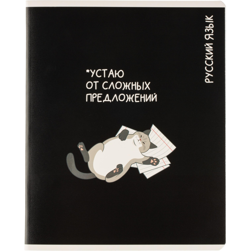 Тетрадь предметная КОТЫ МЕМЫ, набор12 шт.48л, А5+, клетка/линия/71449