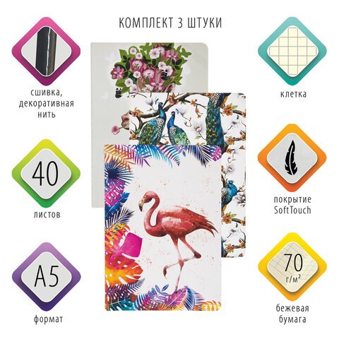 Тетради 40 л. в клетку обложка SoftTouch, НАБОР 3 шт., бежевая бумага 70 г/м2, сшивка, А5 (147×210 мм), SUMMER, BRAUBERG