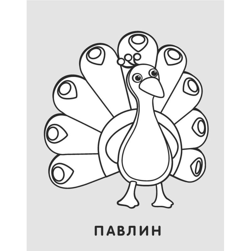 Раскраска малышам Барашек на поляне 10 шт/уп РМА-1