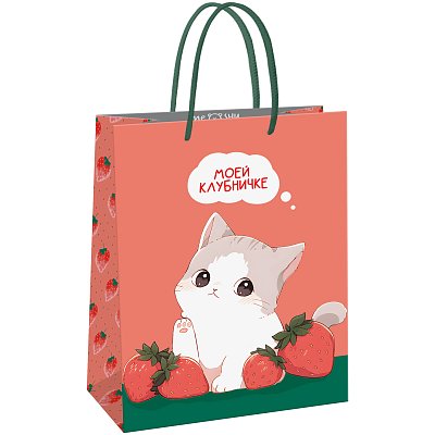 Пакет подарочный 11×14×6.5см MESHU «Strawberry», матовая ламинация