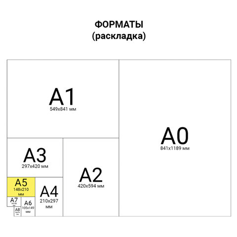 Бумага для оф. техники Data Copy А5 (80 г/кв. м, белизна 170%CIE,...