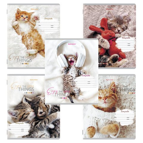 Тетради 12 л. КОМПЛЕКТ 10 шт. BRAUBERG, клетка, обложка картон, ПИТОМЦЫ