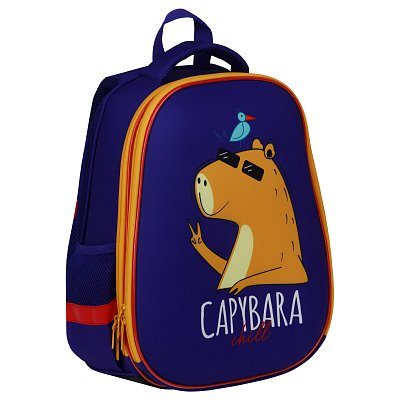 Ранец ArtSpace School Friend «Capybara» 39×30×18см, 2 отделения, 2 кармана, анатомическая спинка
