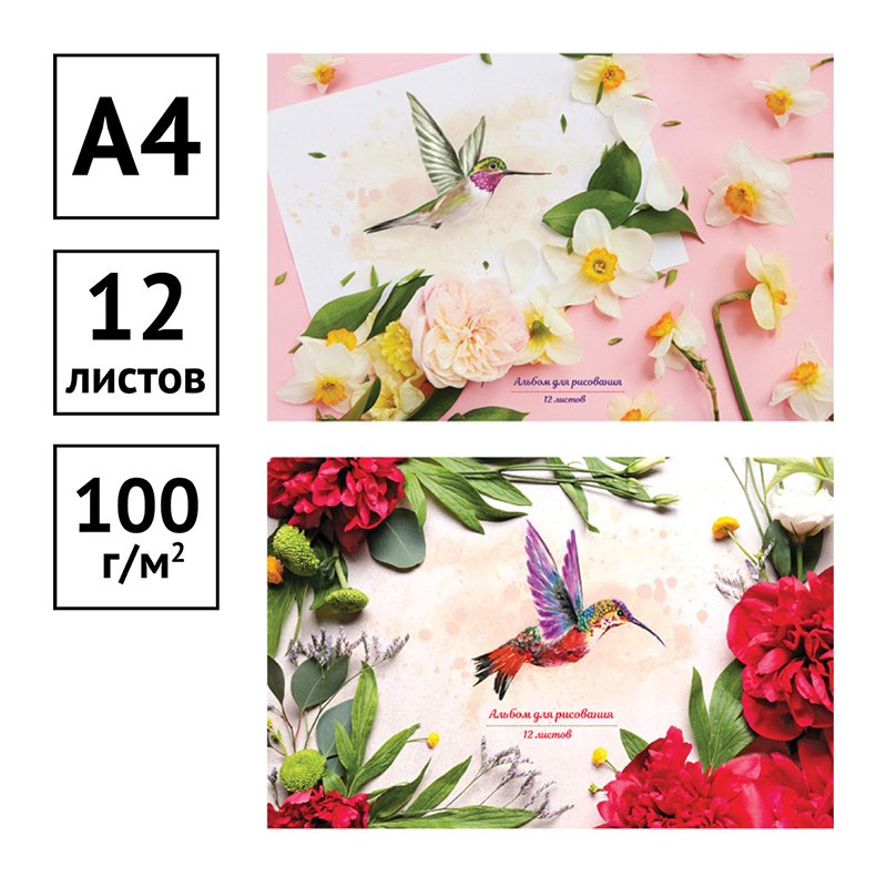 Альбом для рисования 12л., А4, на скрепке ArtSpace «Колибри», обложка-офсет