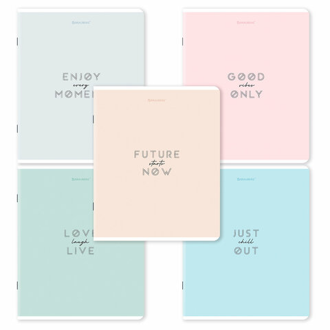 превью Тетрадь А5, 48 л., BRAUBERG, скоба, клетка, матовая ламинация, «Однотонный_Пастель», (микс в спайке)