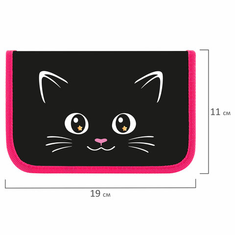 Пенал ПИФАГОР, 1 отделение, ламинированный картон, 19×11 см, «Dark kitten»