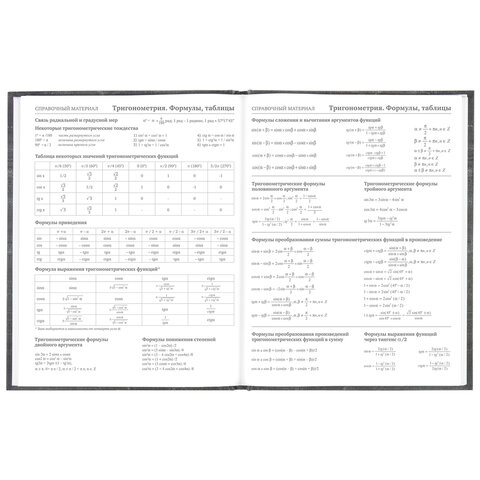 Дневник 5-11 класс 48 л., твердый, BRAUBERG, фольга, с подсказом, «Музыка»
