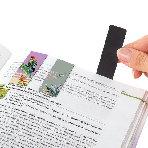 Закладки для книг МАГНИТНЫЕ, «TROPICS», набор 12 шт., 60×20 мм, BRAUBERG