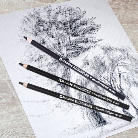 Карандаши угольные BRAUBERG ART «CLASSIC», набор 12 шт., заточенные (мягкий, средний, твердый)