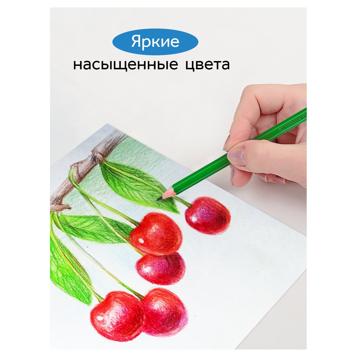 Карандаши цветные Гамма «Классические», 24цв., заточен., картон. упаковка, европодвес