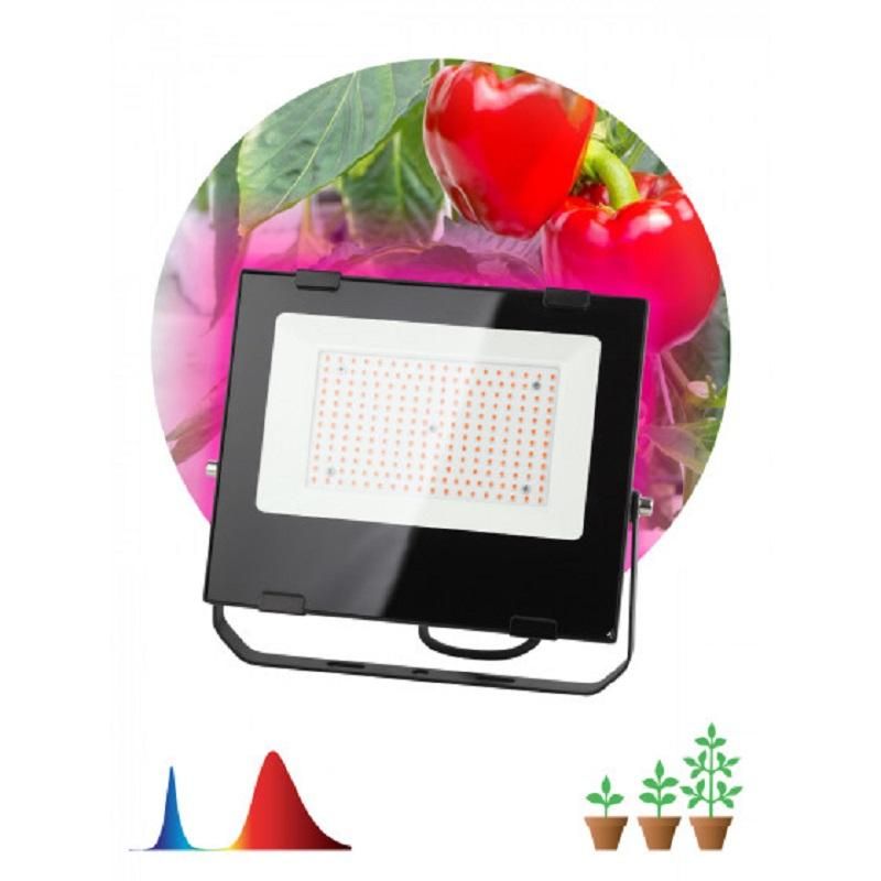 Фитосветильник для растений светодиодный ЭРА FITO-100W-RB-LED (Б0046369)