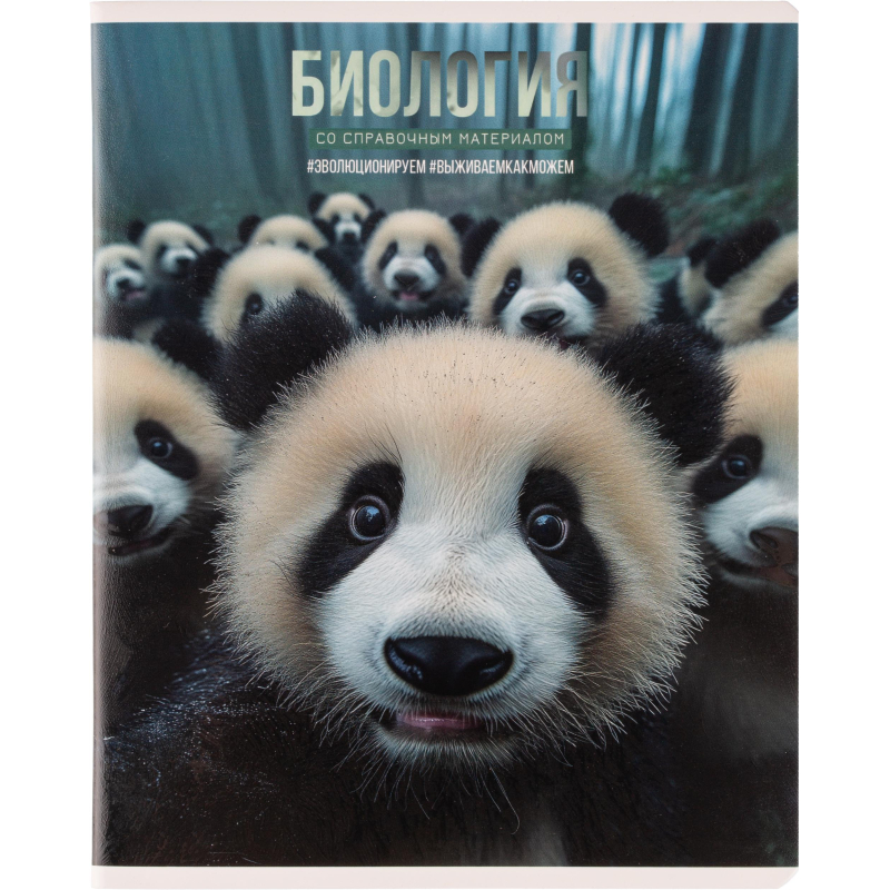 Тетрадь предметная СЕЛФИ, набор 12шт., А5+, клетка/линия/71451