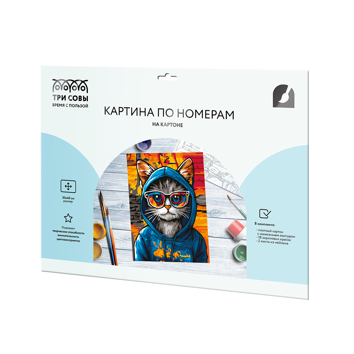 Картина по номерам на картоне ТРИ СОВЫ «Кот в худи», 30×40, с акриловыми красками и кистями