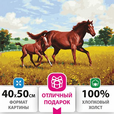 Картина по номерам 40×50 см, ОСТРОВ СОКРОВИЩ «Лошади на лугу», на подрамнике, акриловые краски, 3 кисти