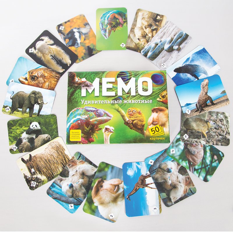 Игра настольная Нескучные игры «Мемо. Удивительные животные», 50 карточек, картон. коробка