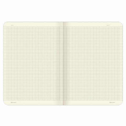 Тетради 60 л. в клетку обложка гладкий кожзам, НАБОР 2 шт., сшивка, B5 (179×250 мм), BRAUBERG VIVA