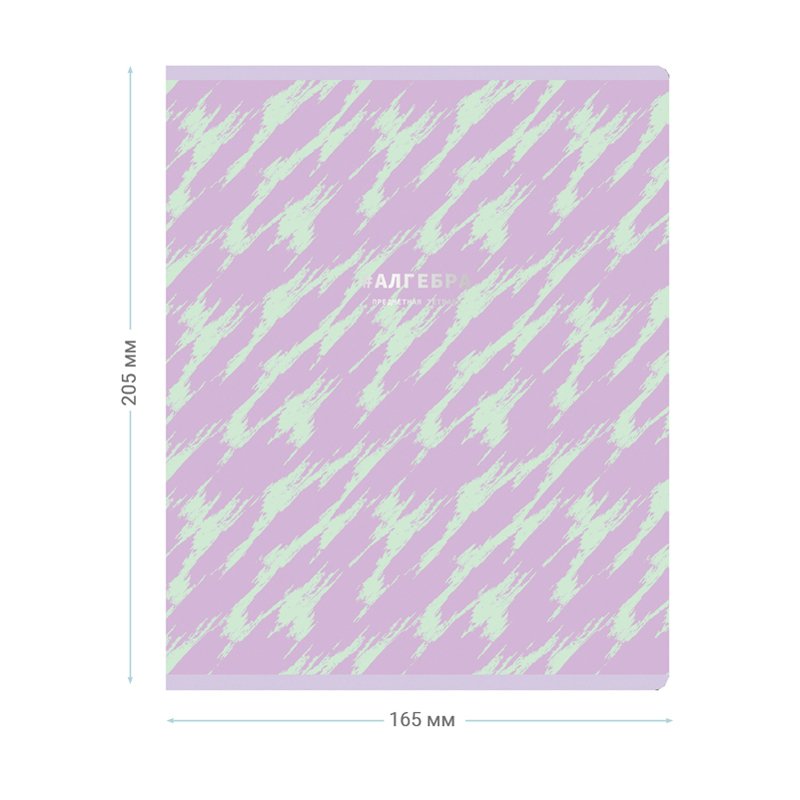 Тетрадь предметная 48л. MESHU «DUO Brush» - Алгебра, матовая ламинация, тиснение фольгой