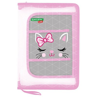 Папка для труда на молнии BRAUBERG KIDS А4, 1 отделение, прозрачная, органайзер, «Tiny cutie»