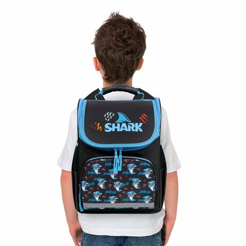 Ранец ПИФАГОР BASIC, 1 отделение, 3 кармана, эргономичная спинка, «Angry shark», 35×28х18 см