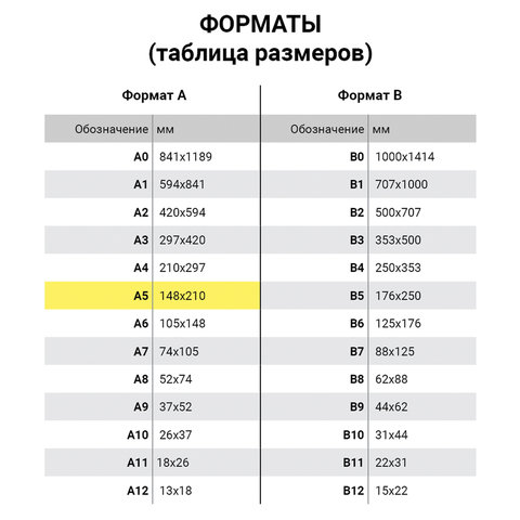 Бумага для оф. техники Data Copy А5 (80 г/кв. м, белизна 170%CIE,...