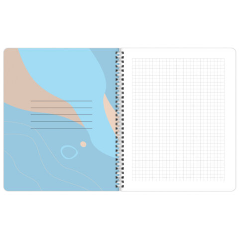 Тетради ДЭК А5 48 л. КОМПЛЕКТ 4 шт., BRAUBERG, гребень, клетка, 80 г/м2, Soft-Touch, «Minimal»