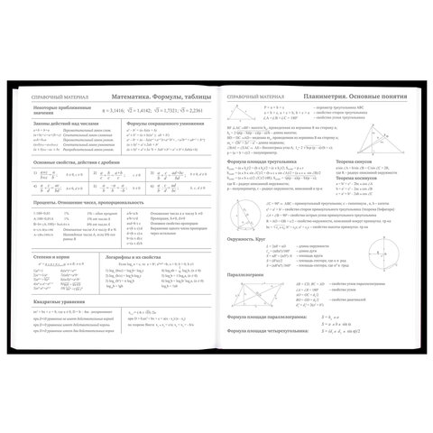 Дневник 5-11 класс 48 л., твердый, BRAUBERG, матовая ламинация, с подсказом, «Гуси»