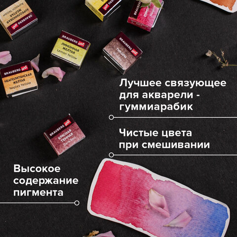 Акварель художественная кюветы НАБОР 24 цвета по 3.5 г, металлический кейс, BRAUBERG ART PREMIERE