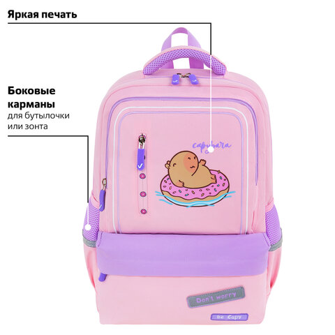Рюкзак BRAUBERG STAR, 1 отделение, 5 карманов, «Capybara», розовый, 40×29x13 см