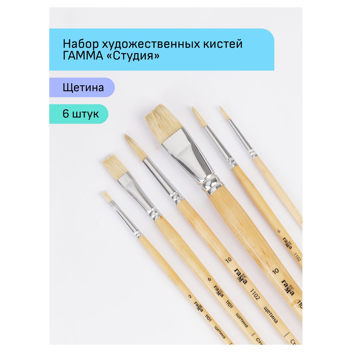 Набор художественных кистей щетина Гамма «Студия», 6шт., круглые №2, 6, 10 плоские №2, 6, 10, блистер, европодвес