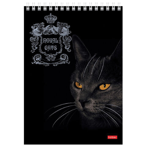 Блокнот А5 (146×215 мм), 80 л., гребень, клетка, ламинация, 3D фольга, HATBER, «Royal Cats»