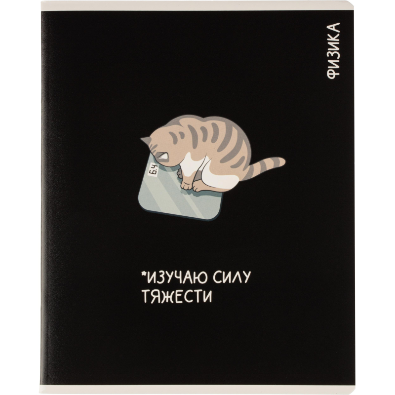 Тетрадь предметная КОТЫ МЕМЫ, набор12 шт.48л, А5+, клетка/линия/71449
