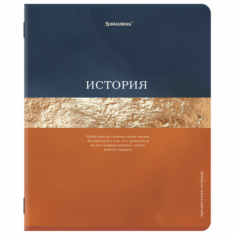 Тетради предметные, КОМПЛЕКТ 12 ПРЕДМЕТОВ, 48 л., матовая ламинация, фольга, BRAUBERG «GOLDY»