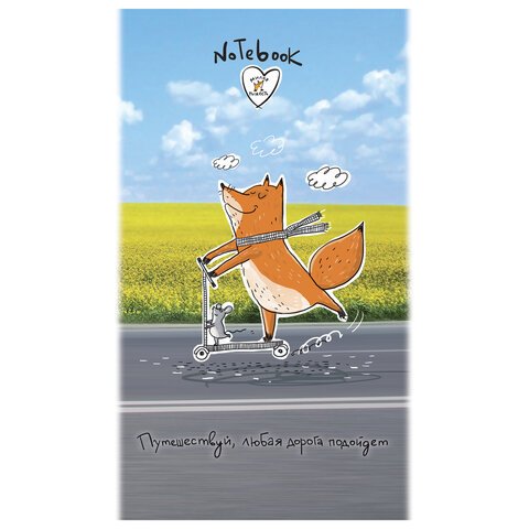 превью Блокнот МАЛЫЙ ФОРМАТ (105×164 мм), А6, 40 л., скоба, фольга, TWIN лак, клетка, «МИКС 4» (10 видов), 099081