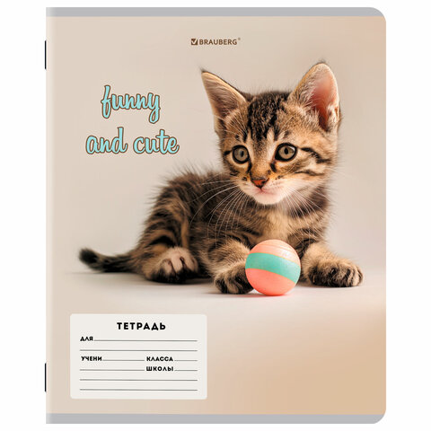 Тетрадь 12 л. BRAUBERG косая линия, обложка картон, CATS AND DOGS