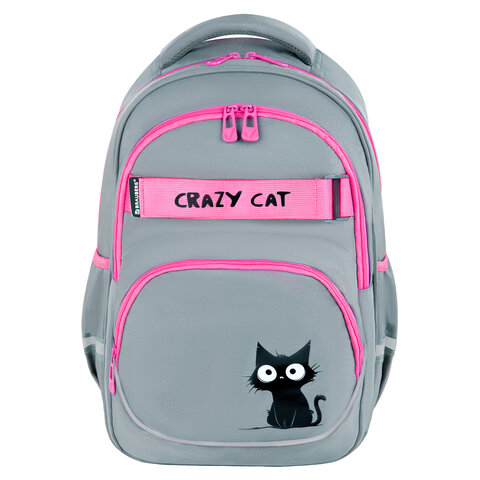 Рюкзак BRAUBERG MOTION, 2 отделения, 3 кармана, «Crazy cat», 41×28х17 см